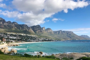 Cidade do Cabo: Excursão particular personalizada de um dia