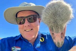 Cidade do Cabo: Excursão particular personalizada de um dia