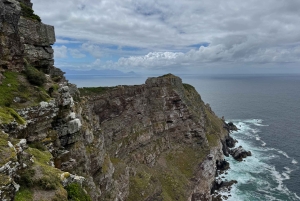 Cidade do Cabo: Excursão particular personalizada de um dia