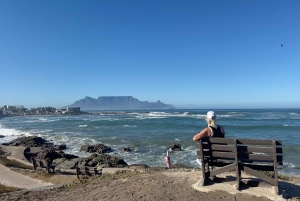 Cidade do Cabo: Excursão particular personalizada de um dia