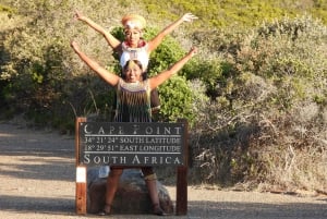 Ciudad del Cabo: Excursión privada de un día por el Cabo de Buena Esperanza