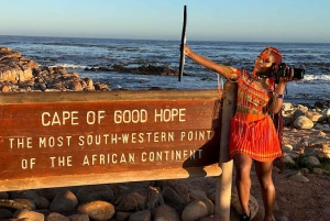 Città del Capo: tour privato di un giorno intero del Capo di Buona Speranza