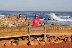 Le Cap : excursion privée d'une journée au Cap de Bonne Espérance