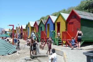 Ciudad del Cabo: Excursión privada de un día por el Cabo de Buena Esperanza