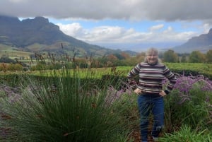 Kaapstad: Hele dag privétour door Kaap de Goede Hoop