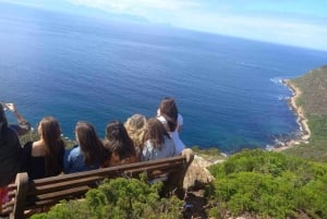 Kaapstad: Hele dag privétour door Kaap de Goede Hoop