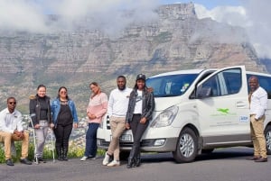 Cape Town: Private Full-Day Cape of Good Hope Tour