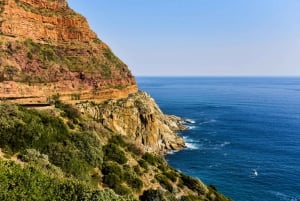 Cape Town: Private Full-Day Cape of Good Hope Tour