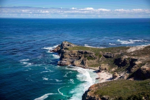 Kapstadt: Private Ganztagestour zum Cape Point mit Pinguinen