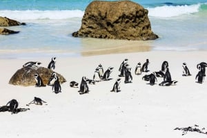 Kapstadt: Private Ganztagestour zum Cape Point mit Pinguinen