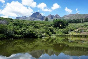 Cape Town: Privat sjåførtjeneste hele dagen