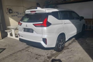 Cape Town: Privat sjåførtjeneste hele dagen