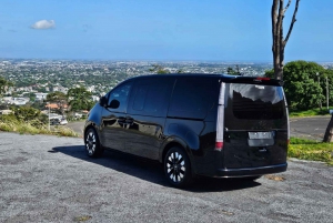 Cape Town: Privat sjåførtjeneste hele dagen