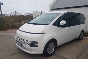 Cape Town: Privat sjåførtjeneste hele dagen