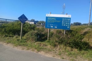 Kapkaupunki: Yksityinen kokopäivän ajuripalvelu