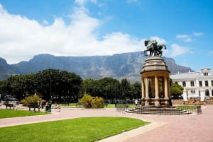 Cape Town: Private Full-Day City Tour of Top Attractions