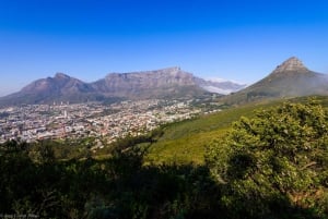 Cape Town: Private Full-Day City Tour of Top Attractions