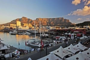 Cape Town: Private Full-Day City Tour of Top Attractions