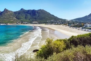 Cape Town: Private Full-Day City Tour of Top Attractions