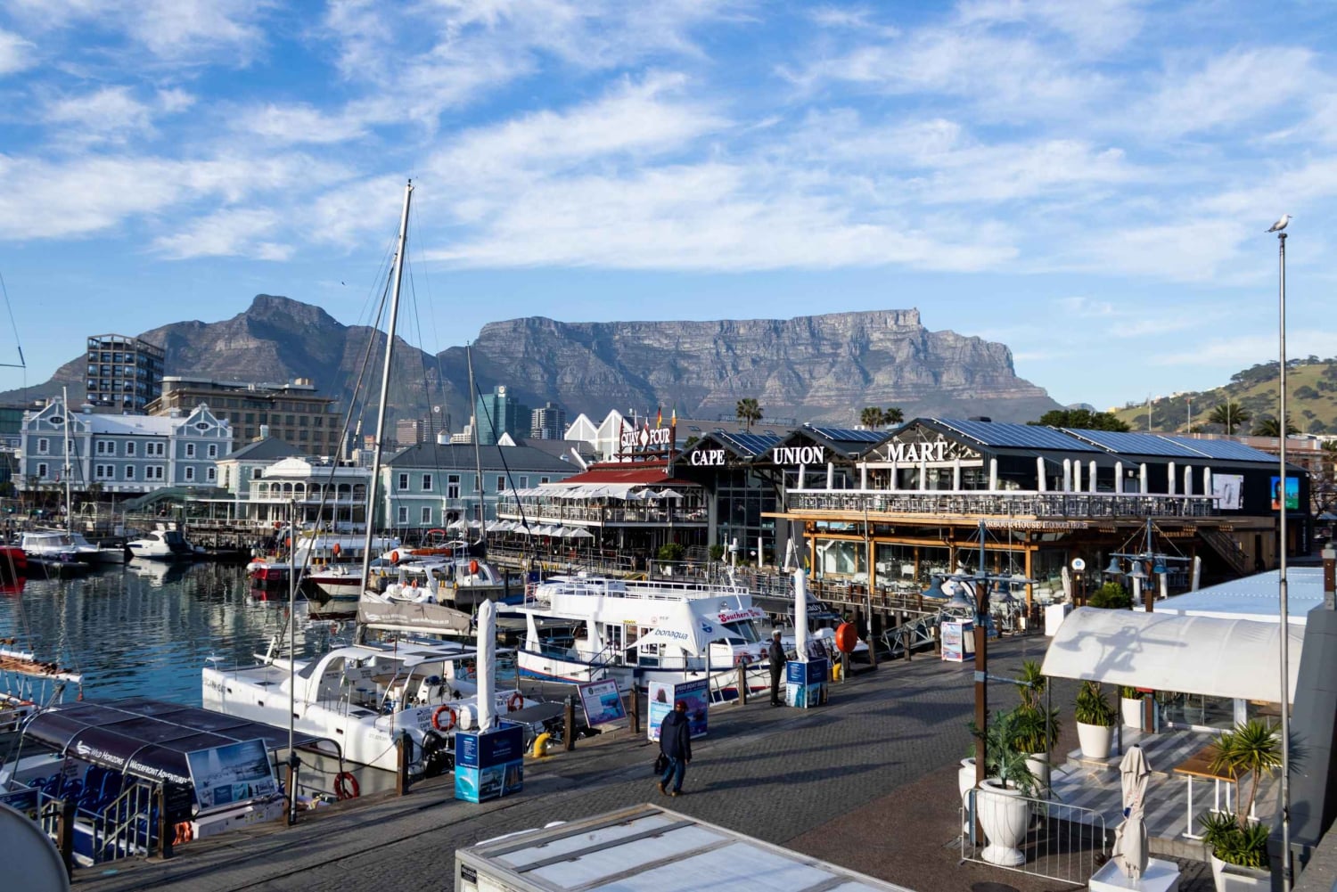 Cape Town: Privat heldagstur i by og vinland