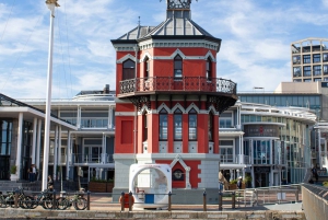 Cape Town: Privat heldagstur i by og vinland