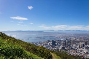 Cape Town: Privat heldagstur i by og vinland