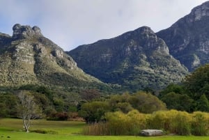 Cape Town: Privat heldagstur i by og vinland