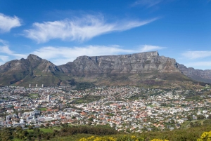 Кейптаун: частная экскурсия по городу и винодельческим угодьям на целый день