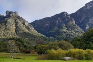Кейптаун: частная экскурсия по городу и винодельческим угодьям на целый день