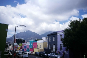 Cape Town: Private Full-Day Table Mountain and City Tour