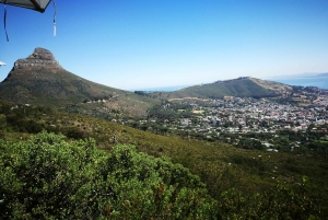 Cape Town: Private Full-Day Table Mountain and City Tour
