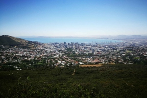 Cape Town: Private Full-Day Table Mountain and City Tour