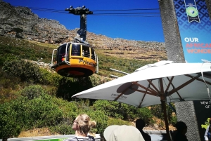 Cape Town: Private Full-Day Table Mountain and City Tour