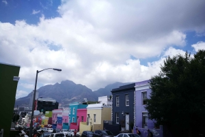 Cape Town: Private Full-Day Table Mountain and City Tour