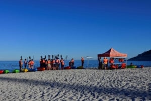 Cape Town: Private Guided Kayak Tour