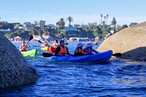 Cape Town: Private Guided Kayak Tour