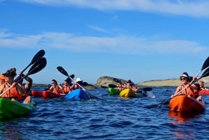 Cape Town: Private Guided Kayak Tour