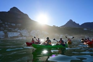 Cape Town: Private Guided Kayak Tour