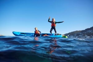 Cape Town: Private Guided Kayak Tour