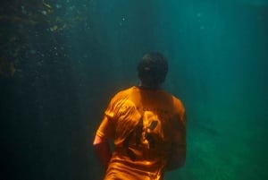 Cape Town: Private Guided Kayak Tour