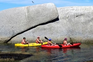Cape Town: Private Guided Kayak Tour