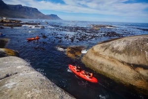 Cape Town: Private Guided Kayak Tour