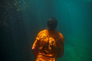 Kapkaupunki: Yksityinen opastettu melontaretki