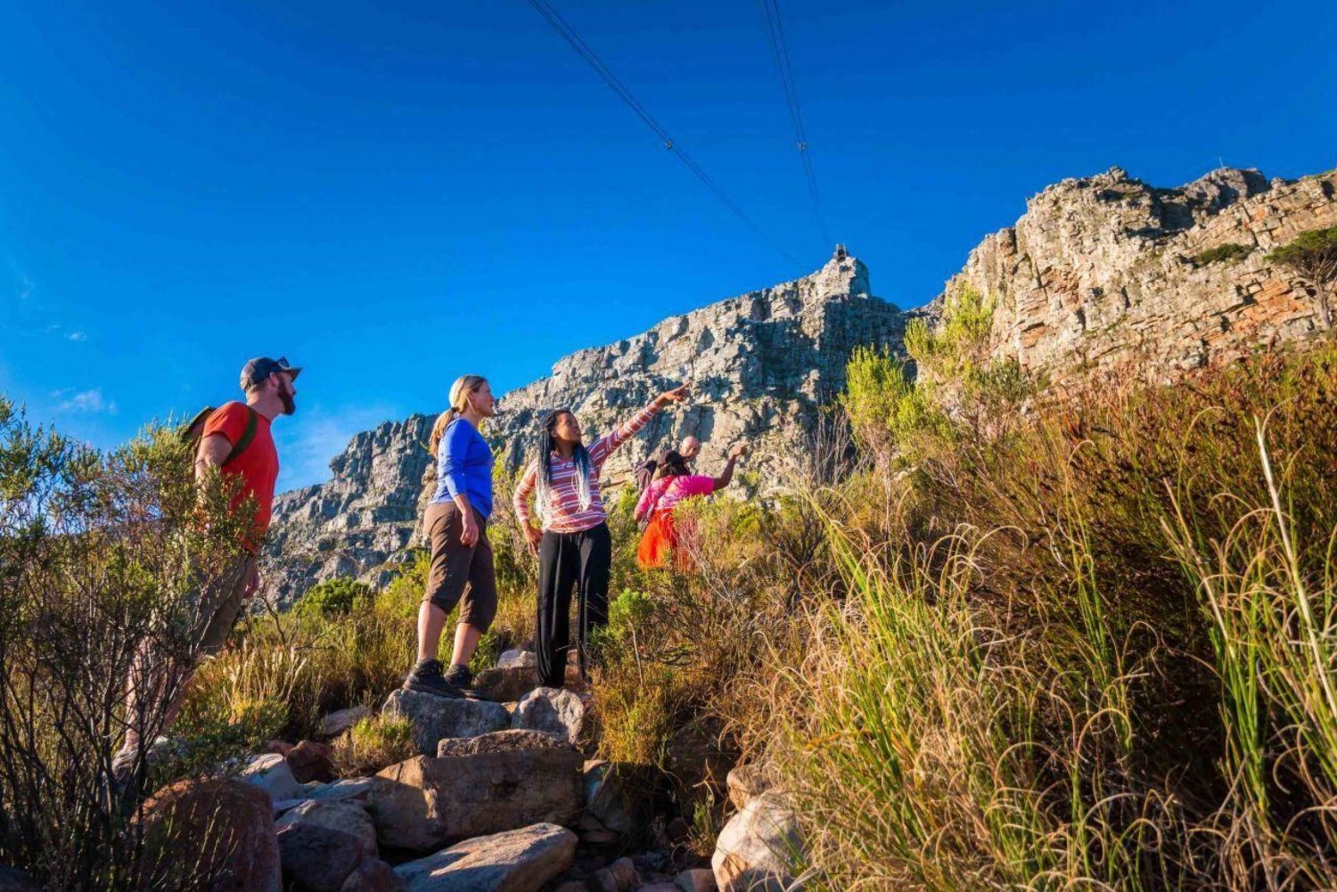Cape Town Private Guided Table Mountain Hikes