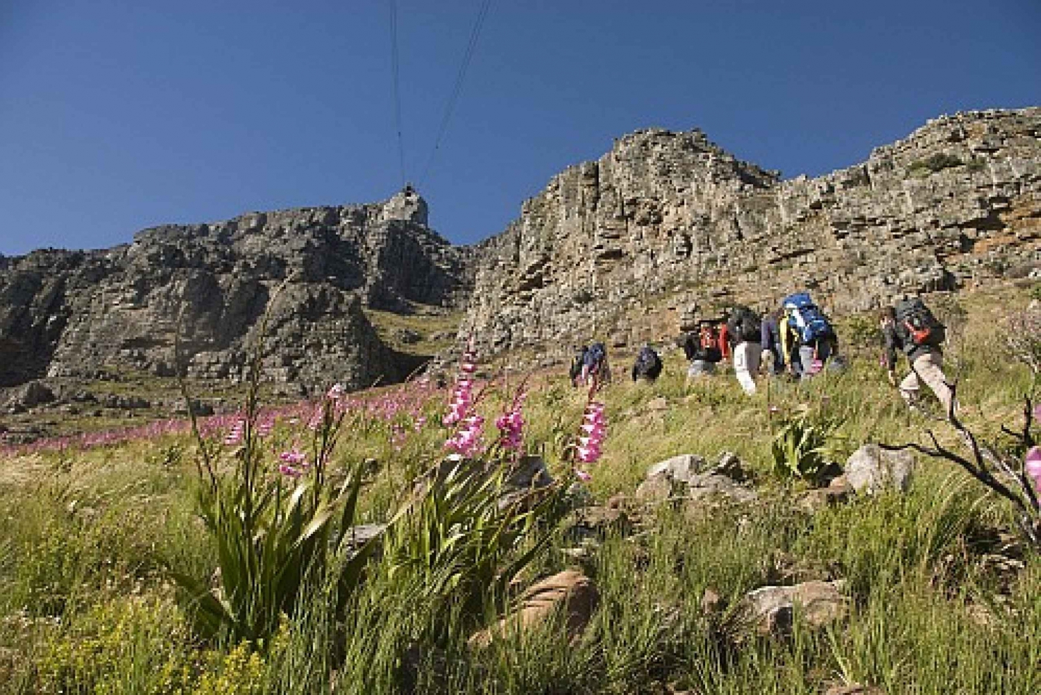 Cape Town Private Guided Table Mountain Hikes