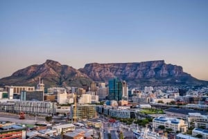 Città del Capo: tour privato di mezza giornata dei punti salienti della città con accompagnatore locale