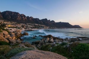 Città del Capo: tour privato di mezza giornata dei punti salienti della città con accompagnatore locale