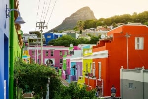 Città del Capo: tour privato di mezza giornata dei punti salienti della città con accompagnatore locale