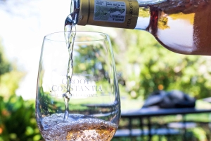 Kapstaden: Privat halvdagsutflykt till Winelands