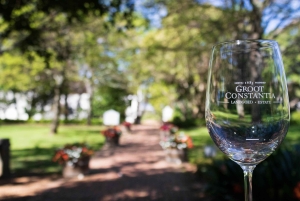 Kapstaden: Privat halvdagsutflykt till Winelands